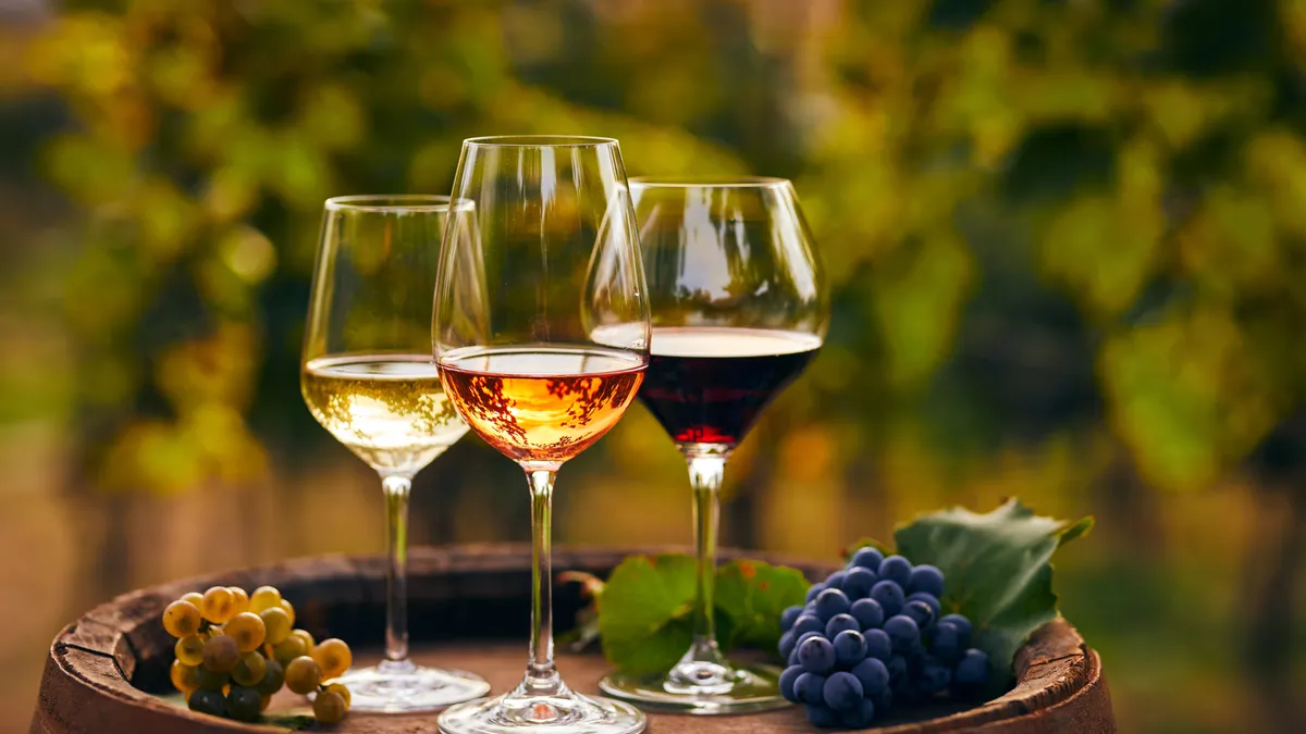 Vesuvius & Wine Tasting-7